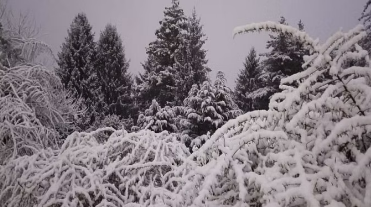 uttarakhand-weather